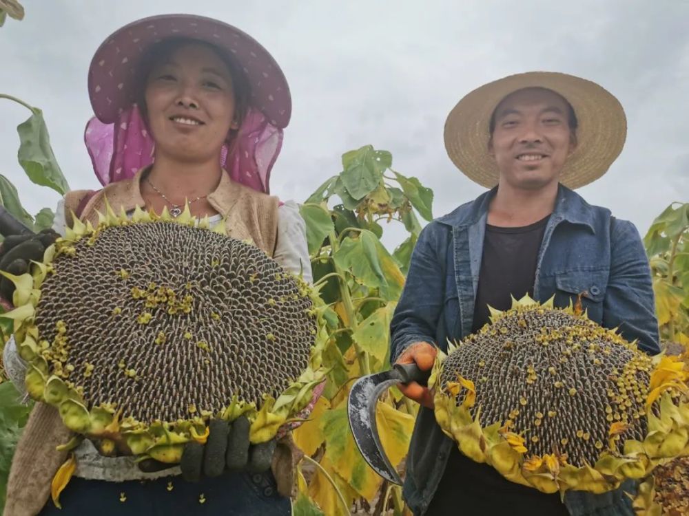 热点生活 第48页