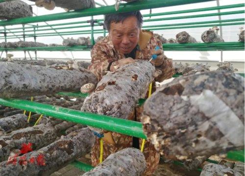 娱乐生活 第20页